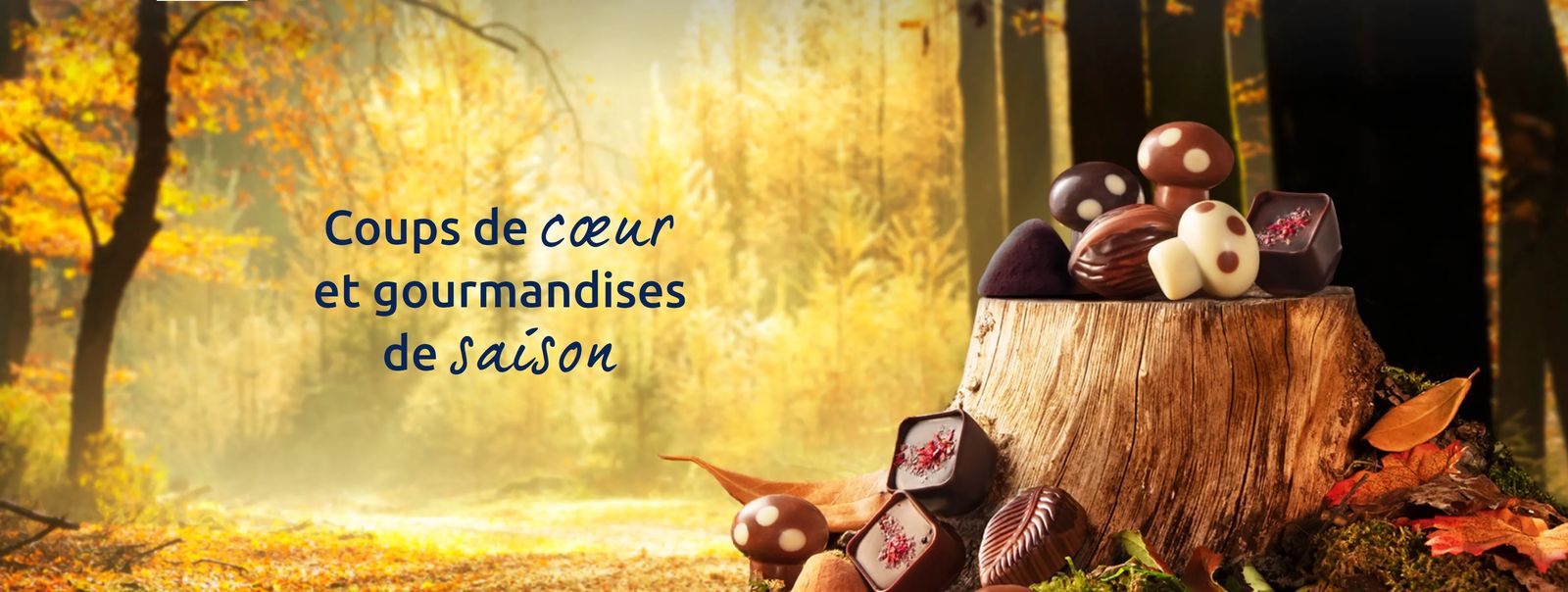 Coups de cœur et gourmandises de saison : la collection d’automne Leonidas