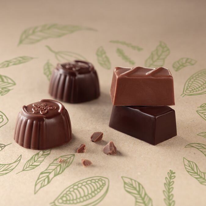 Pralines vegan Leonidas